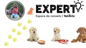 Photo enseigne : Tom & Co Leers
